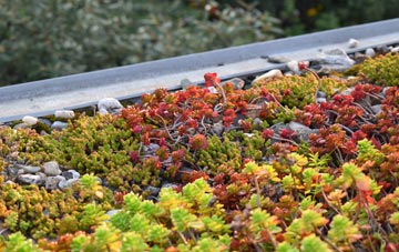 the cost of Byers Green green roof installation