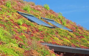 Byers Green living roof systems